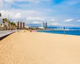 Plaża w Barcelonie nad Morzem Śródziemnym. Palmy, deptak i nowoczesne budynki w tle.