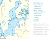 Jakim morzem jest Bałtyk? Unikalne cechy, ekologia i turystyka