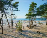 Słoneczna dębki plaża z piaszczystym brzegiem, drzewami sosnowymi i ludźmi odpoczywającymi nad morzem.
