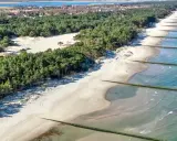 Piękna plaża w Rogowie z sosnowym lasem w tle i drewnianymi falochronami w morzu.