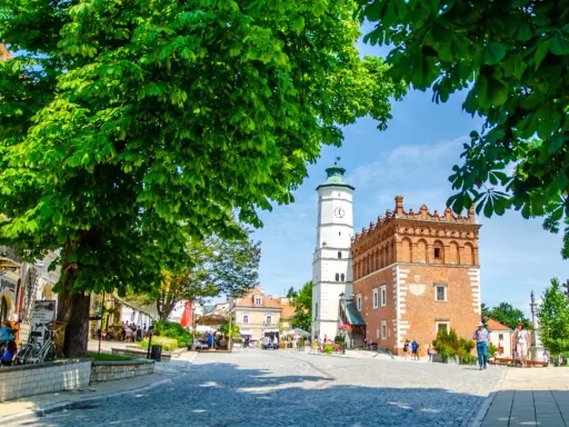 Rynek w Sandomierzu z ratuszem i wieżą zegarową, otoczony drzewami i kamienicami.