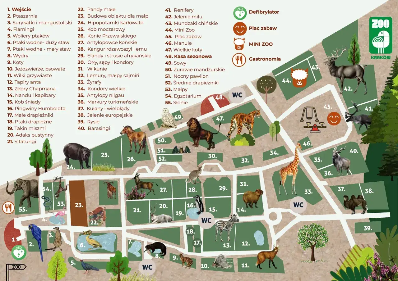 Mapa Zoo Kraków z zaznaczonymi zwierzętami i atrakcjami. Sprawdź cennik i zaplanuj wizytę!