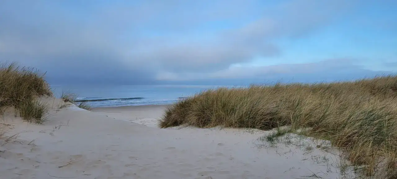 Piękne, piaszczyste plaże i trawy na wydmach, idealne dla małych miejscowości nad morzem. Spokojne morze i błękitne niebo.